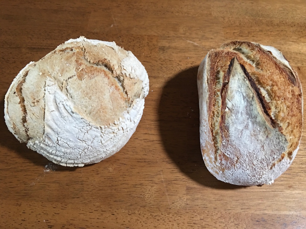 Silicone Bread Slings: A Sourdough Bread Making Must-Have - plant.well